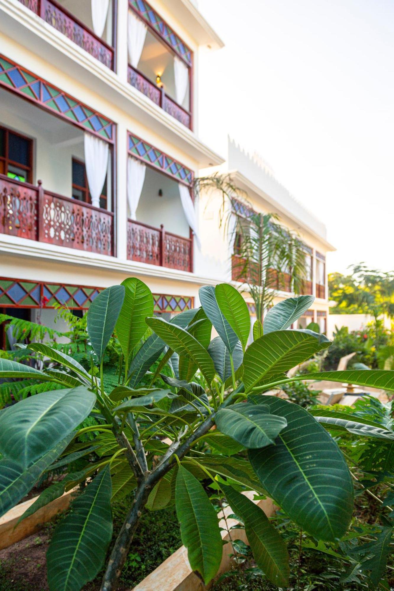 Tasneem Islamic Luxury Suites Jambiani  Exterior foto